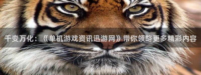 赢咖娱乐平台：千变万化：《单机游戏资讯迅游网》带你领略更多精