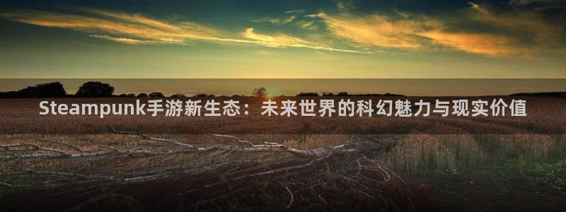 赢咖娱乐手机网页版登录：Steampunk手游新生态：未来世