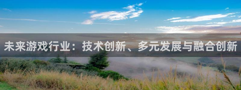 赢咖娱乐网页登录入口：未来游戏行业：技术创新、多元发展与融合