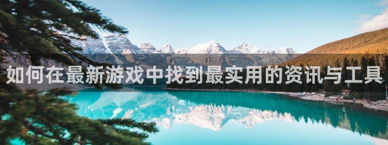 赢咖娱乐网址官网：如何在最新游戏中找到最实用的资讯与工具