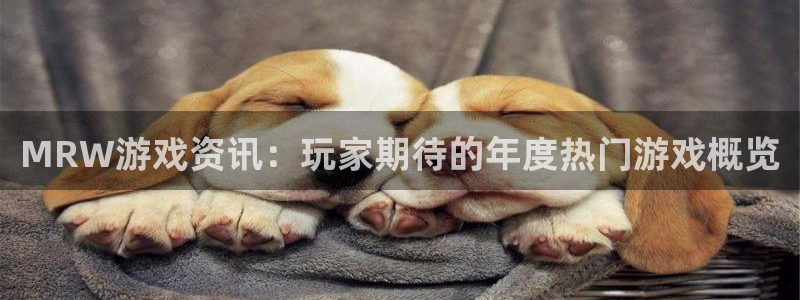 赢咖娱乐4主管：MRW游戏资讯：玩家期待的年度热门游戏概览