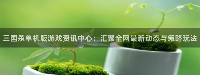 赢咖娱乐咨询：三国杀单机版游戏资讯中心：汇聚全网最新动态与策