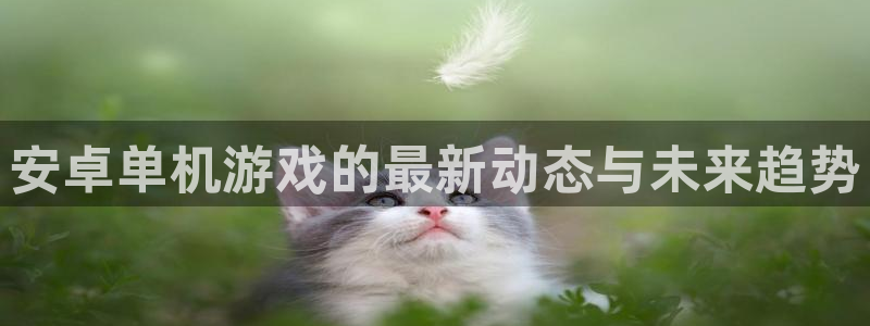 赢咖娱乐：安卓单机游戏的最新动态与未来趋势