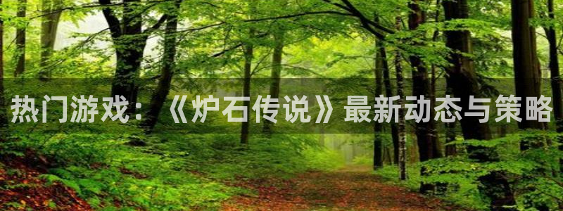 赢咖娱乐网页登录入口下载：热门游戏：《炉石传说》最新动态与策