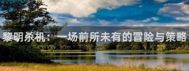 赢咖娱乐是什么：黎明杀机：一场前所未有的冒险与策略