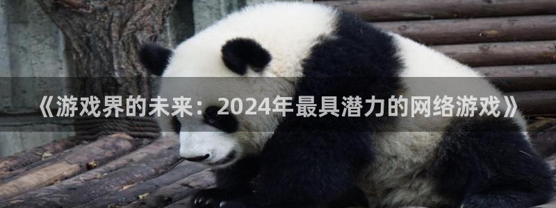 手机赢咖娱乐下载安装：《游戏界的未来：2024年最具潜力的网