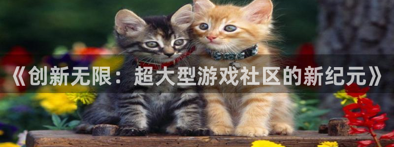 赢咖娱乐Ii：《创新无限：超大型游戏社区的新纪元》