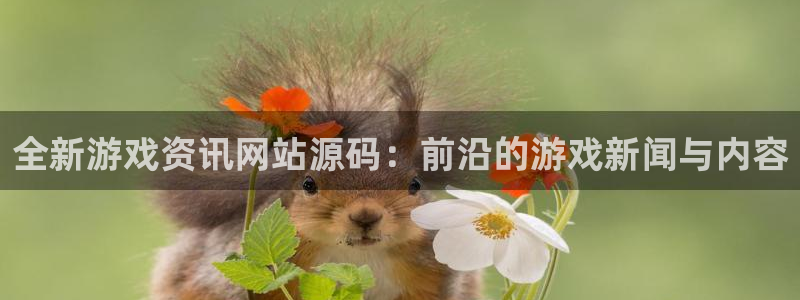 赢咖娱乐升级5994月：全新游戏资讯网站源码：前沿的游戏新闻